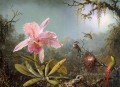 カテリヤ オーキッドと 3 羽のブラジルのハチドリ ロマンチックな花 マーティン ジョンソン ヘッド